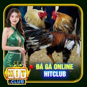 Đá Gà Online Hitclub | Đỉnh Cao Đặt Cược Kịch Tính Từng Giây