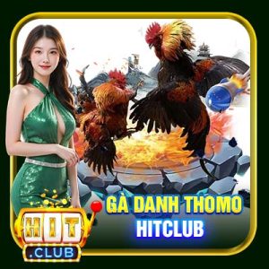 Gà Danh Thomo Hitclub | Chiến Kê Huyền Thoại Cùng Kỳ Tích Bất Ngờ