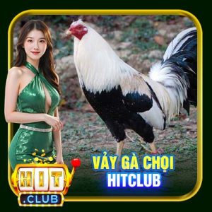 Vảy Gà Chọi Hitclub | Cách Xem Để Nhận Biết Chiến Kê Chất Lượng